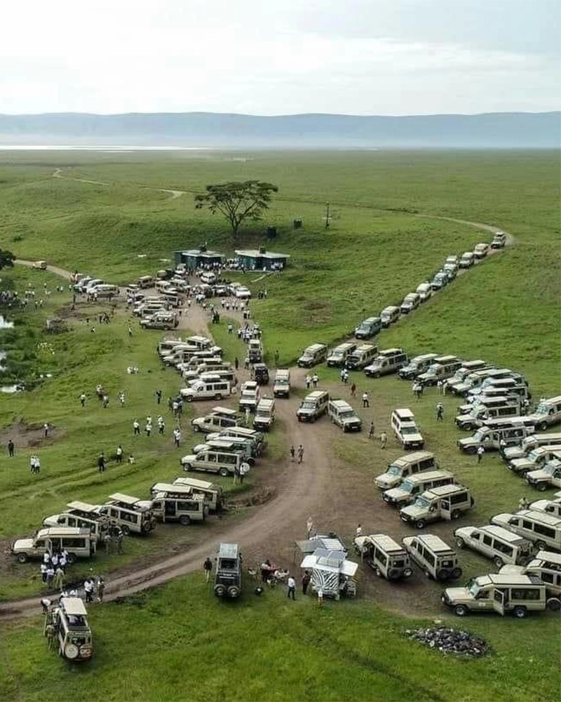 Ngorongoro